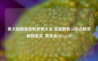 黄大仙精准资料免费大全 英倍教育.cn综合解答解释落实_黄金版2024.11.01