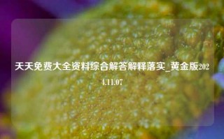 天天免费大全资料综合解答解释落实_黄金版2024.11.07