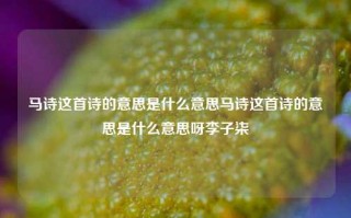 马诗这首诗的意思是什么意思马诗这首诗的意思是什么意思呀李子柒