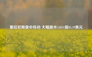 塞拉尼斯盘中异动 大幅跳水5.05%报85.19美元