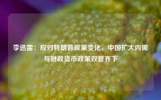 李迅雷：应对特朗普政策变化，中国扩大内需与财政货币政策双管齐下