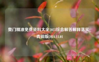 奥门精准免费资料大全2023综合解答解释落实_青铜版2024.11.01