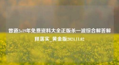 曾道2o19年免费资料大全正版杀一波综合解答解释落实_黄金版2024.11.02