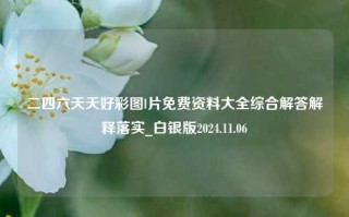 二四六天天好彩图l片免费资料大全综合解答解释落实_白银版2024.11.06