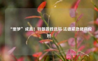 “噩梦”成真！特朗普胜选后 法德紧急磋商应对