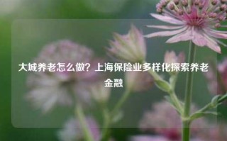 大城养老怎么做？上海保险业多样化探索养老金融