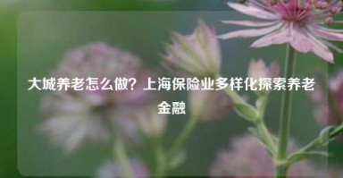 大城养老怎么做？上海保险业多样化探索养老金融