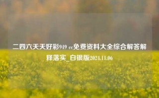 二四六天天好彩949 cc免费资料大全综合解答解释落实_白银版2024.11.06