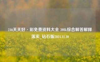 246天天好·彩免费资料大全 308k综合解答解释落实_钻石版2024.11.10