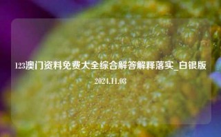 123澳门资料免费大全综合解答解释落实_白银版2024.11.08