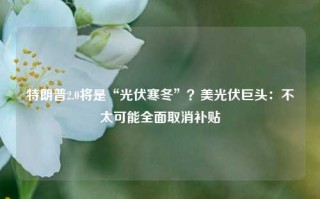 特朗普2.0将是“光伏寒冬”？美光伏巨头：不太可能全面取消补贴