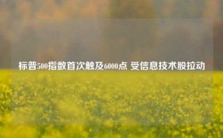 标普500指数首次触及6000点 受信息技术股拉动