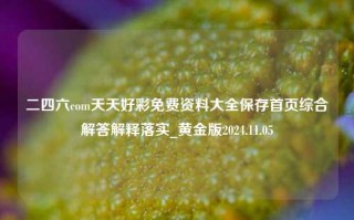 二四六com天天好彩免费资料大全保存首页综合解答解释落实_黄金版2024.11.05