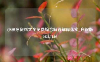 小程序资料大全免费综合解答解释落实_白银版2024.11.08