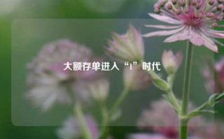 大额存单进入“1”时代