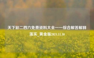 天下彩二四六免费资料大全一一综合解答解释落实_黄金版2024.11.10