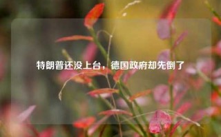 特朗普还没上台，德国政府却先倒了