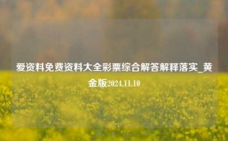 爱资料免费资料大全彩票综合解答解释落实_黄金版2024.11.10