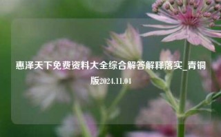 惠泽天下免费资料大全综合解答解释落实_青铜版2024.11.04