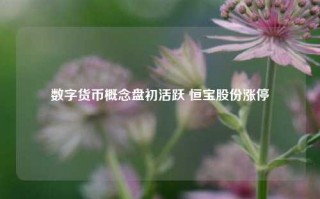 数字货币概念盘初活跃 恒宝股份涨停