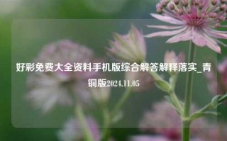 好彩免费大全资料手机版综合解答解释落实_青铜版2024.11.05