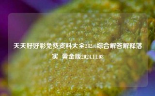 天天好好彩免费资料大全282cc综合解答解释落实_黄金版2024.11.08