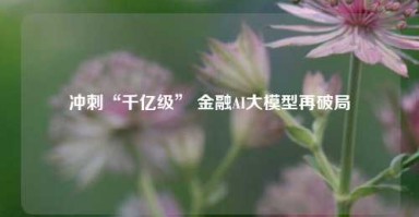 冲刺“千亿级” 金融AI大模型再破局