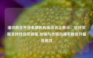 潘功胜在外资金融机构座谈会上表示：坚持实施支持性货币政策 加强与市场沟通不断提升服务质效