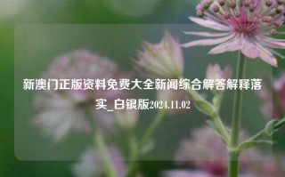 新澳门正版资料免费大全新闻综合解答解释落实_白银版2024.11.02