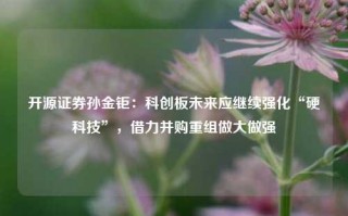 开源证券孙金钜：科创板未来应继续强化“硬科技”，借力并购重组做大做强