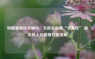 特朗普前经济顾问：关税会极具“交易性” 新政府上台就推行是误解