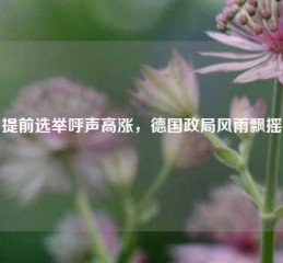 提前选举呼声高涨，德国政局风雨飘摇