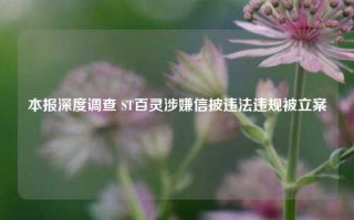 本报深度调查 ST百灵涉嫌信披违法违规被立案