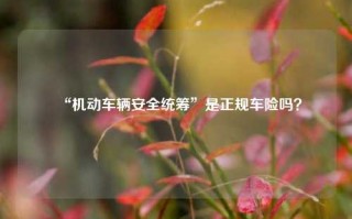 “机动车辆安全统筹”是正规车险吗？