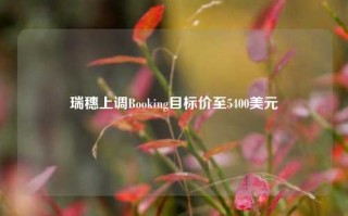 瑞穗上调Booking目标价至5400美元