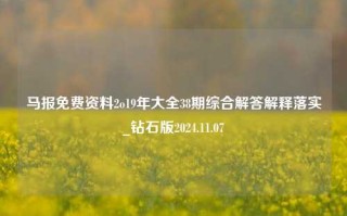 马报免费资料2o19年大全38期综合解答解释落实_钻石版2024.11.07