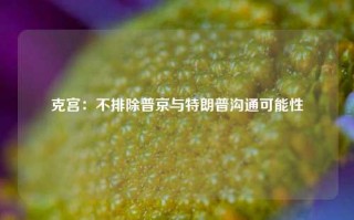 克宫：不排除普京与特朗普沟通可能性