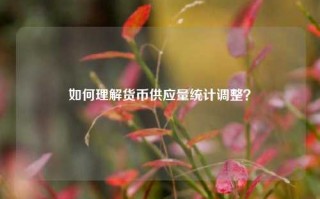 如何理解货币供应量统计调整？