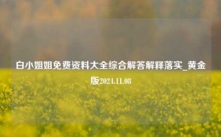 白小姐姐免费资料大全综合解答解释落实_黄金版2024.11.08