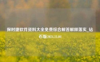 保时捷软件资料大全免费综合解答解释落实_钻石版2024.11.04