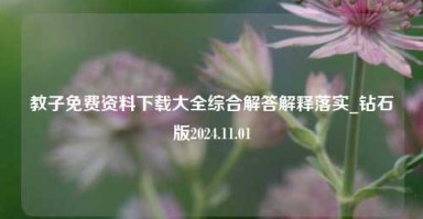 教子免费资料下载大全综合解答解释落实_钻石版2024.11.01