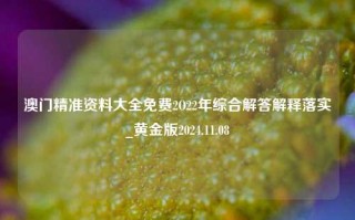 澳门精准资料大全免费2O22年综合解答解释落实_黄金版2024.11.08