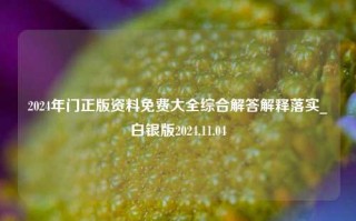 2024年门正版资料免费大全综合解答解释落实_白银版2024.11.04