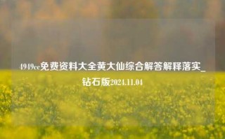 4949cc免费资料大全黄大仙综合解答解释落实_钻石版2024.11.04