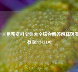 王中王免费资料宝典大全综合解答解释落实_钻石版2024.11.02