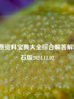 王中王免费资料宝典大全综合解答解释落实_钻石版2024.11.02