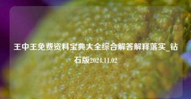 王中王免费资料宝典大全综合解答解释落实_钻石版2024.11.02