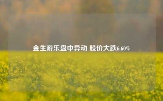 金生游乐盘中异动 股价大跌6.60%