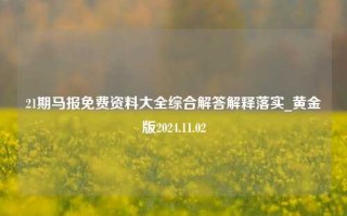 21期马报免费资料大全综合解答解释落实_黄金版2024.11.02