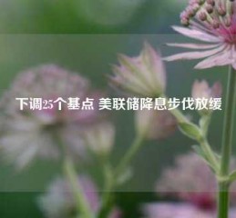 下调25个基点 美联储降息步伐放缓